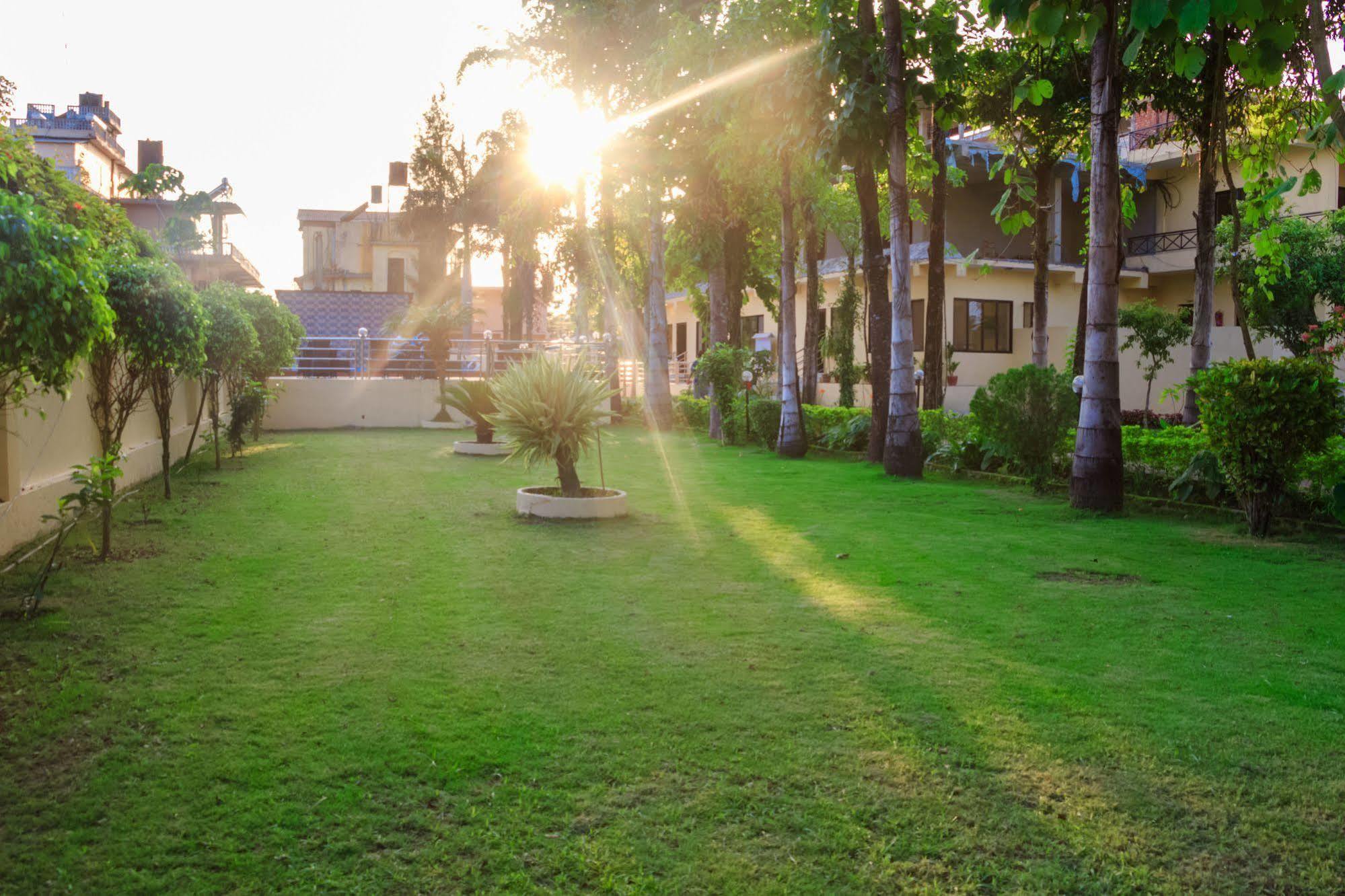 Hotel Rainforest Sauraha Extérieur photo