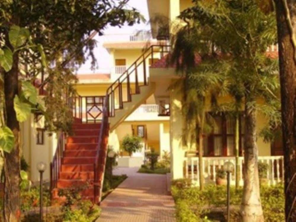 Hotel Rainforest Sauraha Extérieur photo