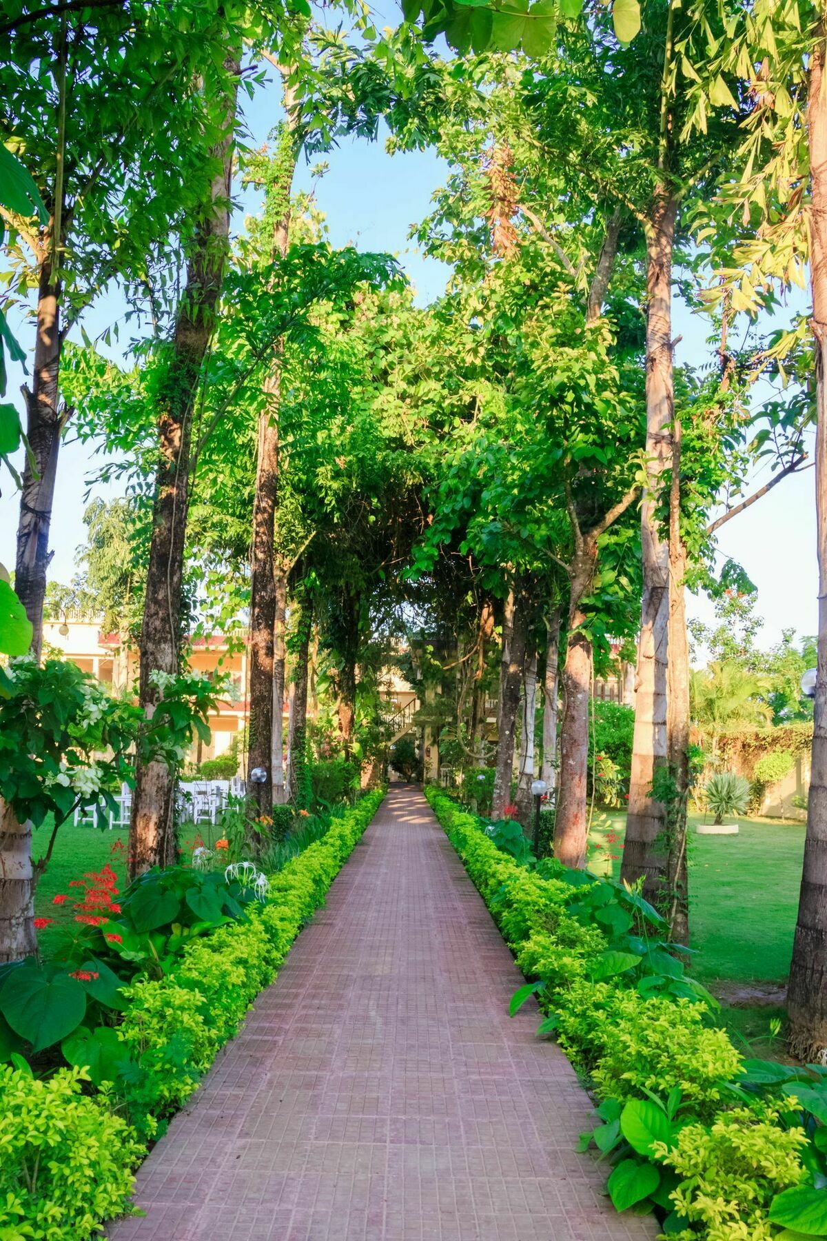 Hotel Rainforest Sauraha Extérieur photo